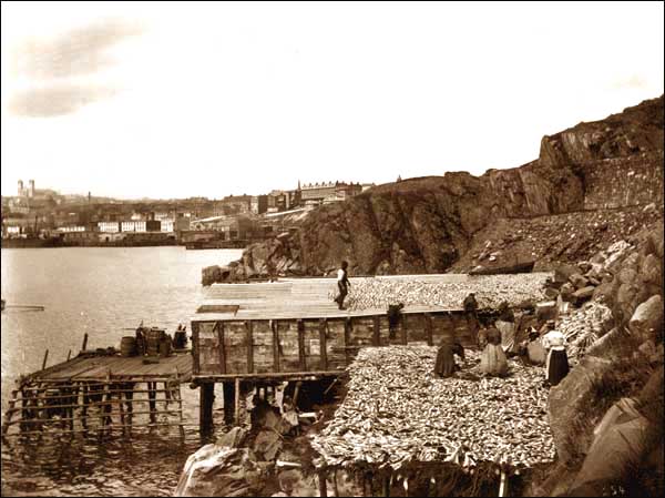 Women Working on Flakes, n.d. Women Working on Flakes, n.d.